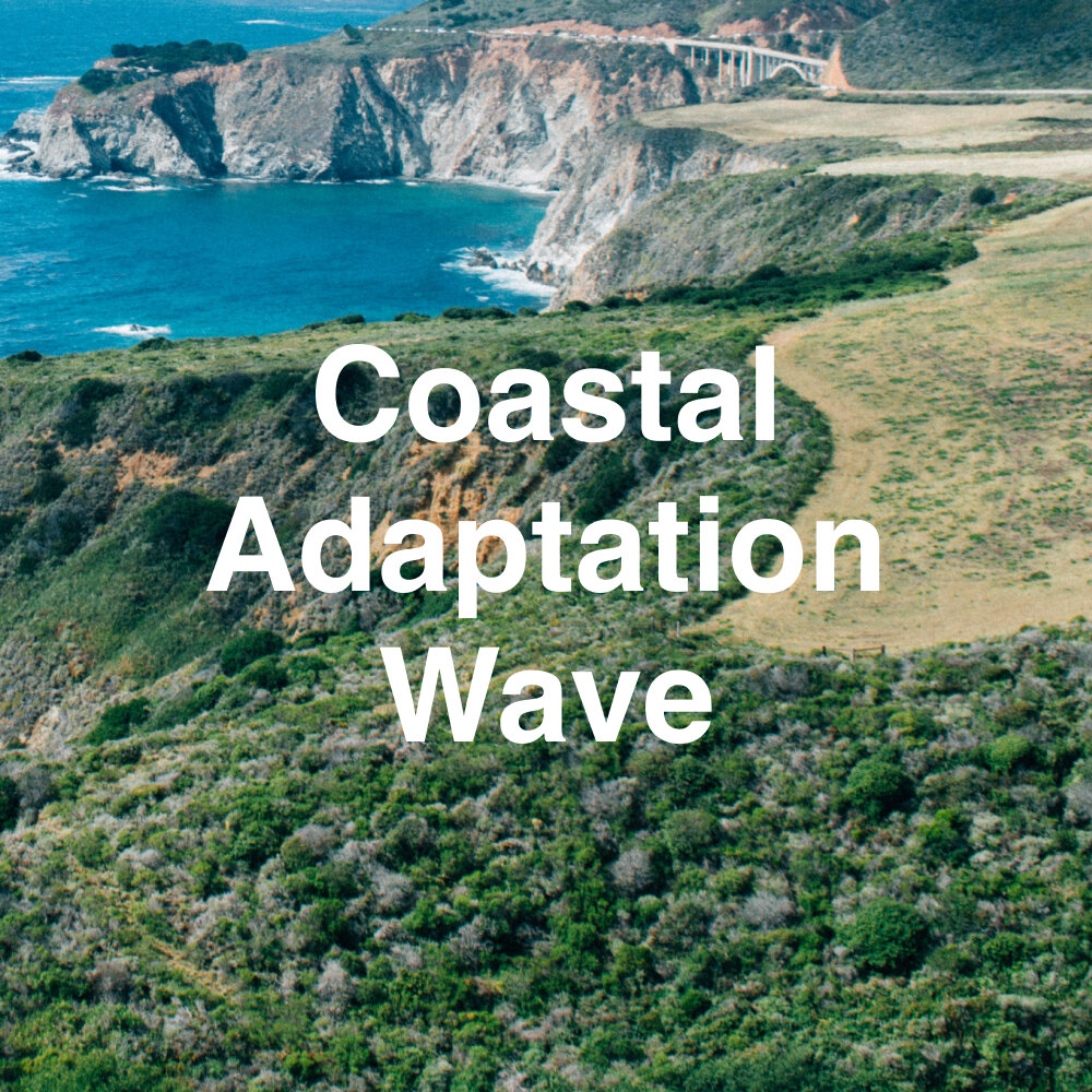 Coastal Adaptation Wave