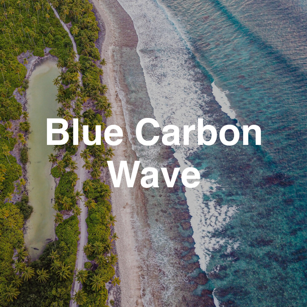 Blue Carbon Wave.jpg