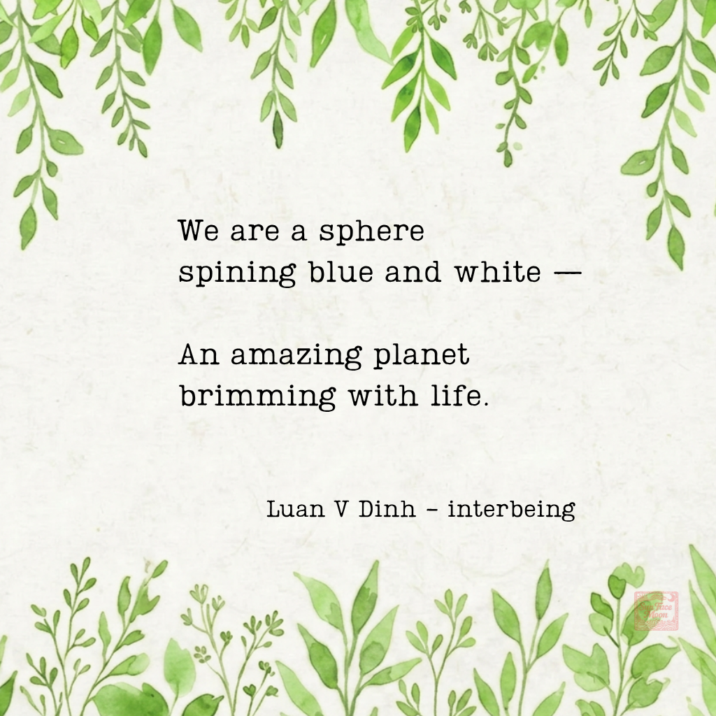 C3.png