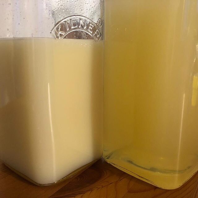 My Peckhamcello and Peckhamcello Creme are finally finished! Made with lemons homegrown in my living room!