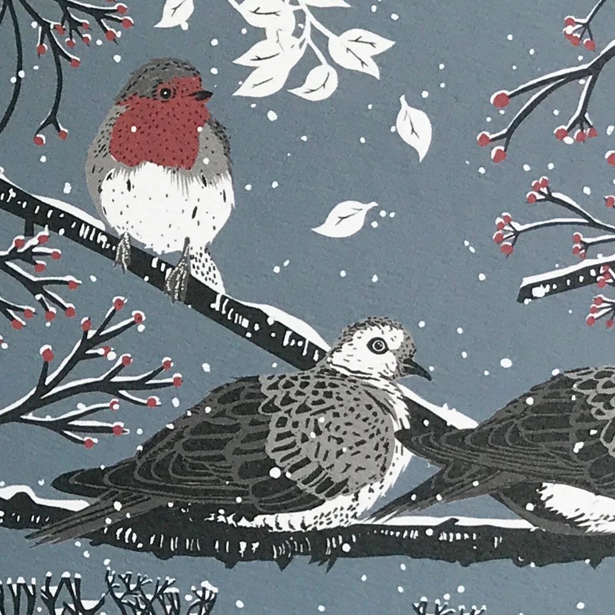 birds card 3.jpg
