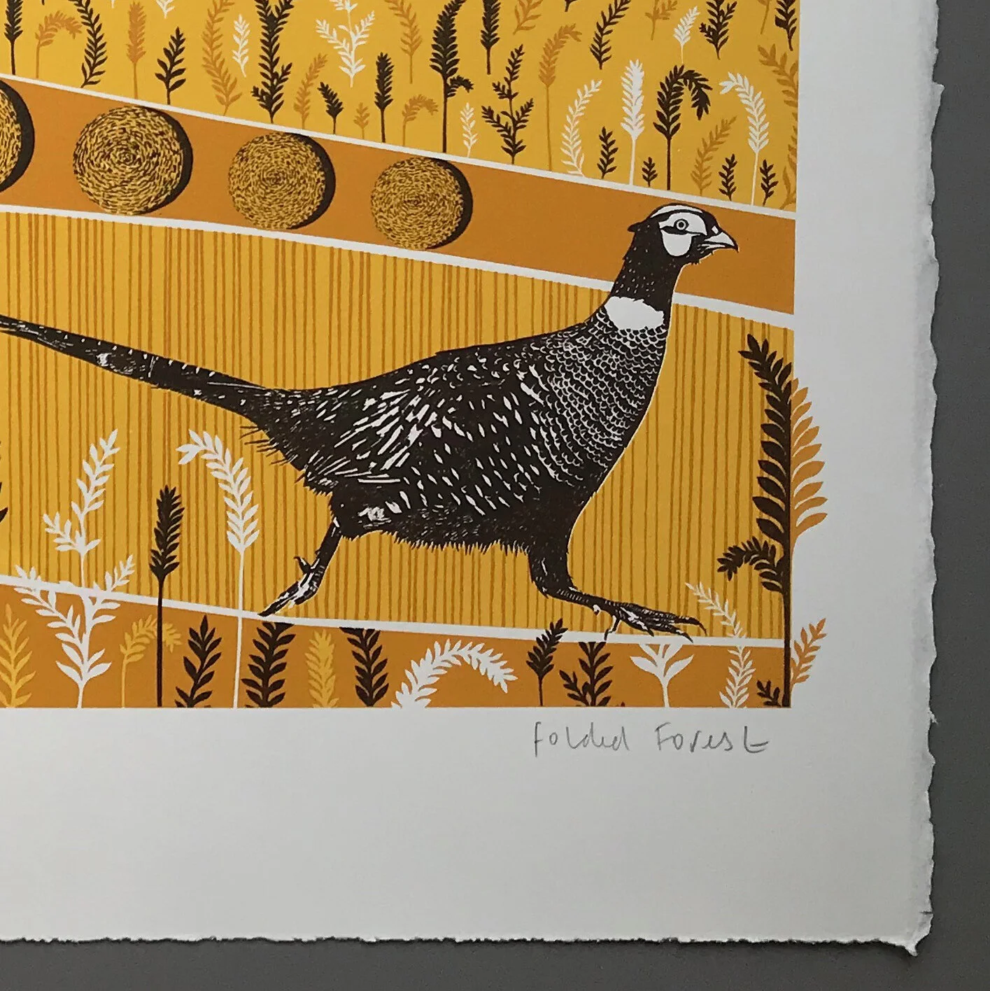lrg pheasant 2.jpg