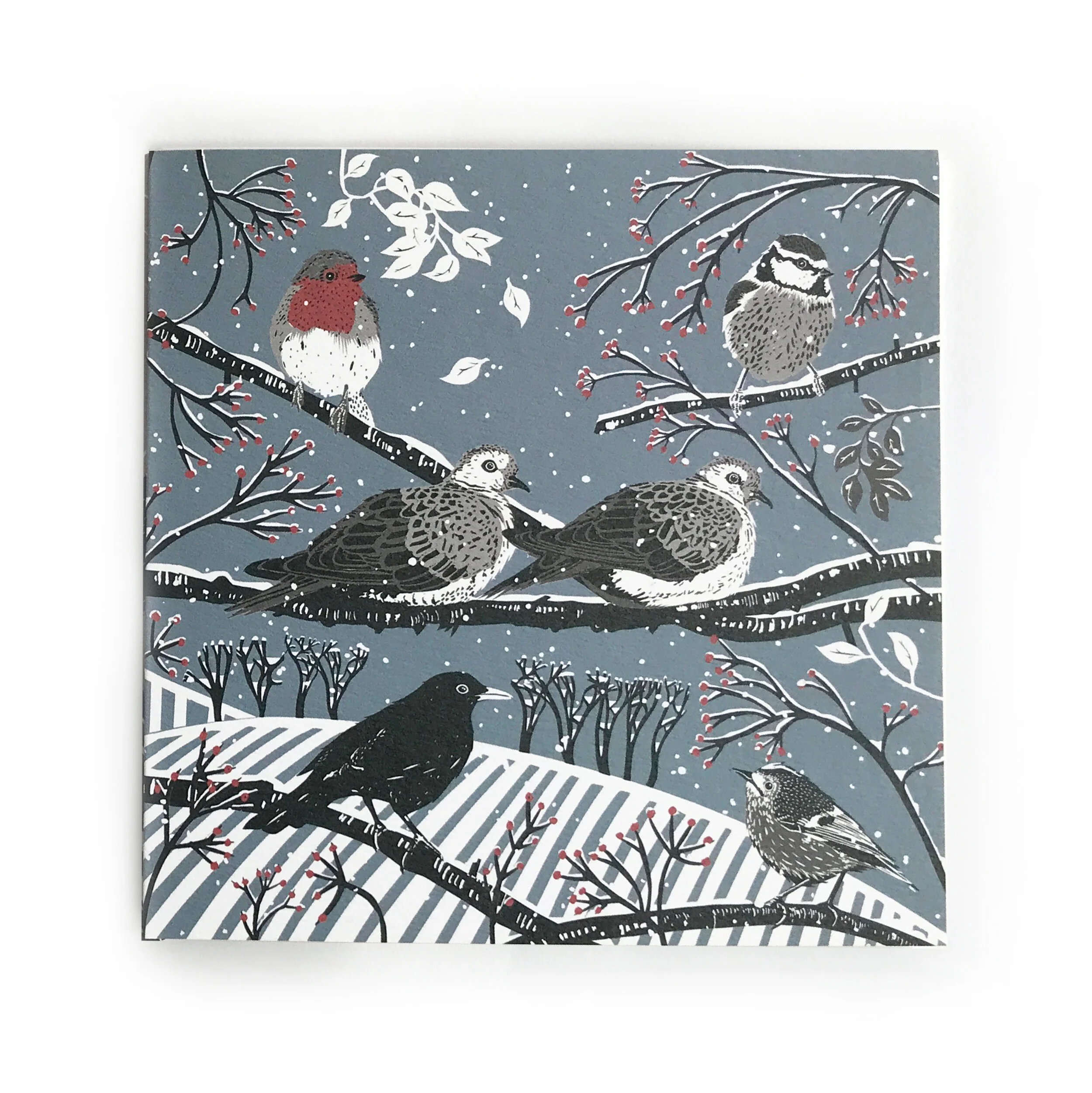 birds card 1.jpg