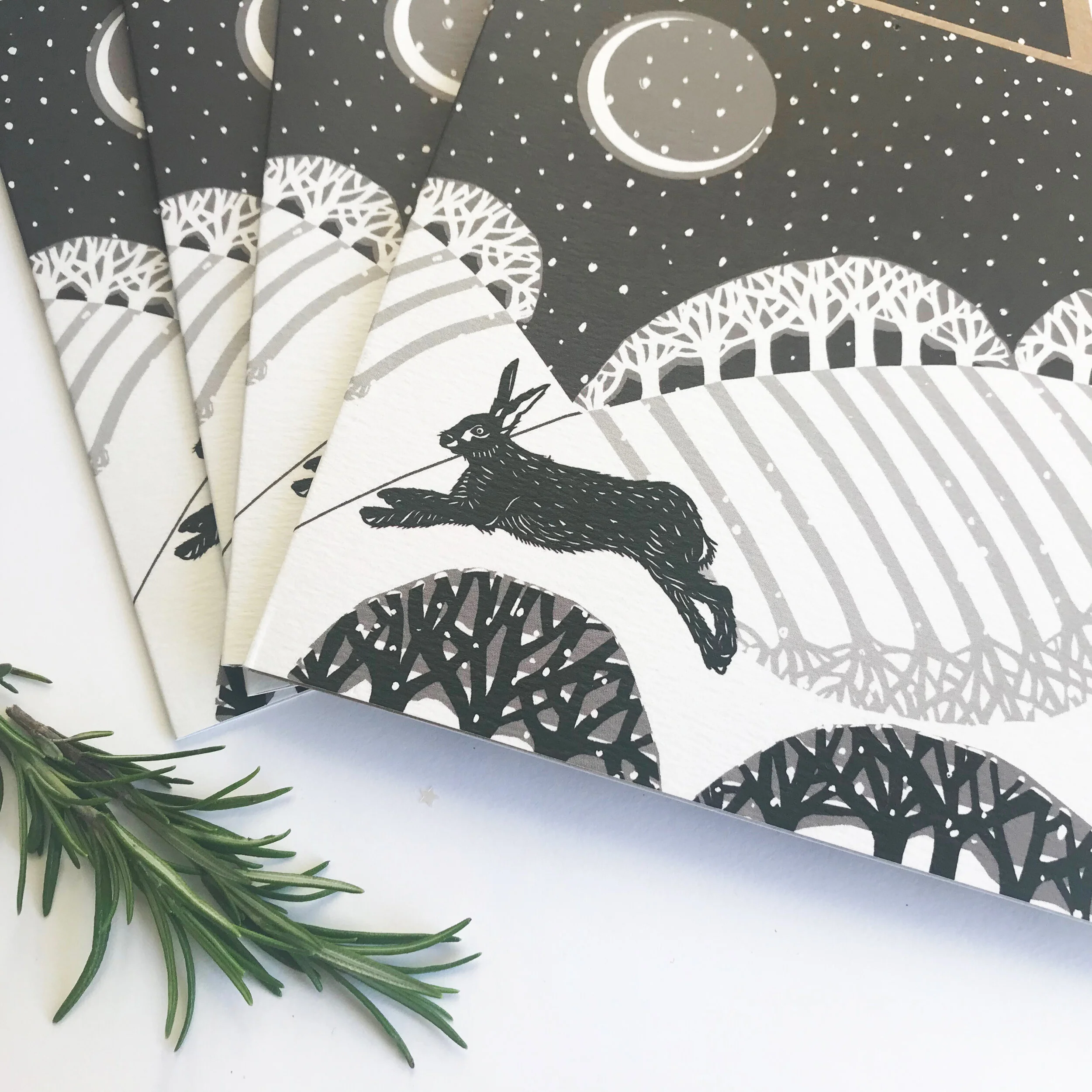 Winter Newsletter