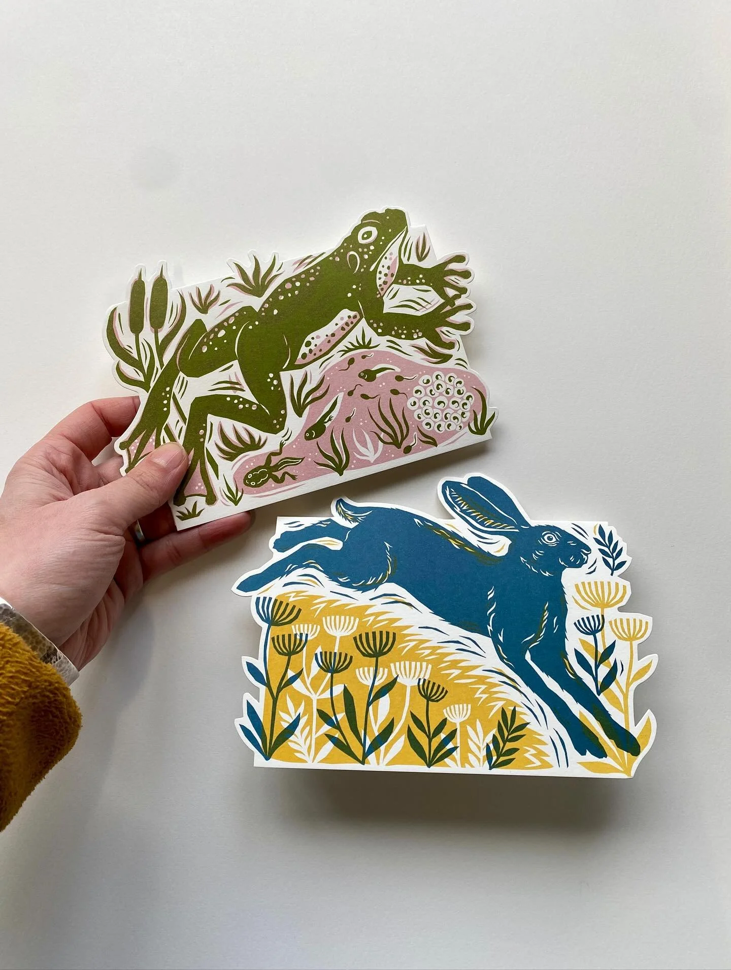 New cards hot off the press! We&rsquo;ve spent a long time pulling these together, they will eventually belong to a larger range with a few of our favourite animals joining them in 2026! We will be soft launching them at our upcoming fairs because we