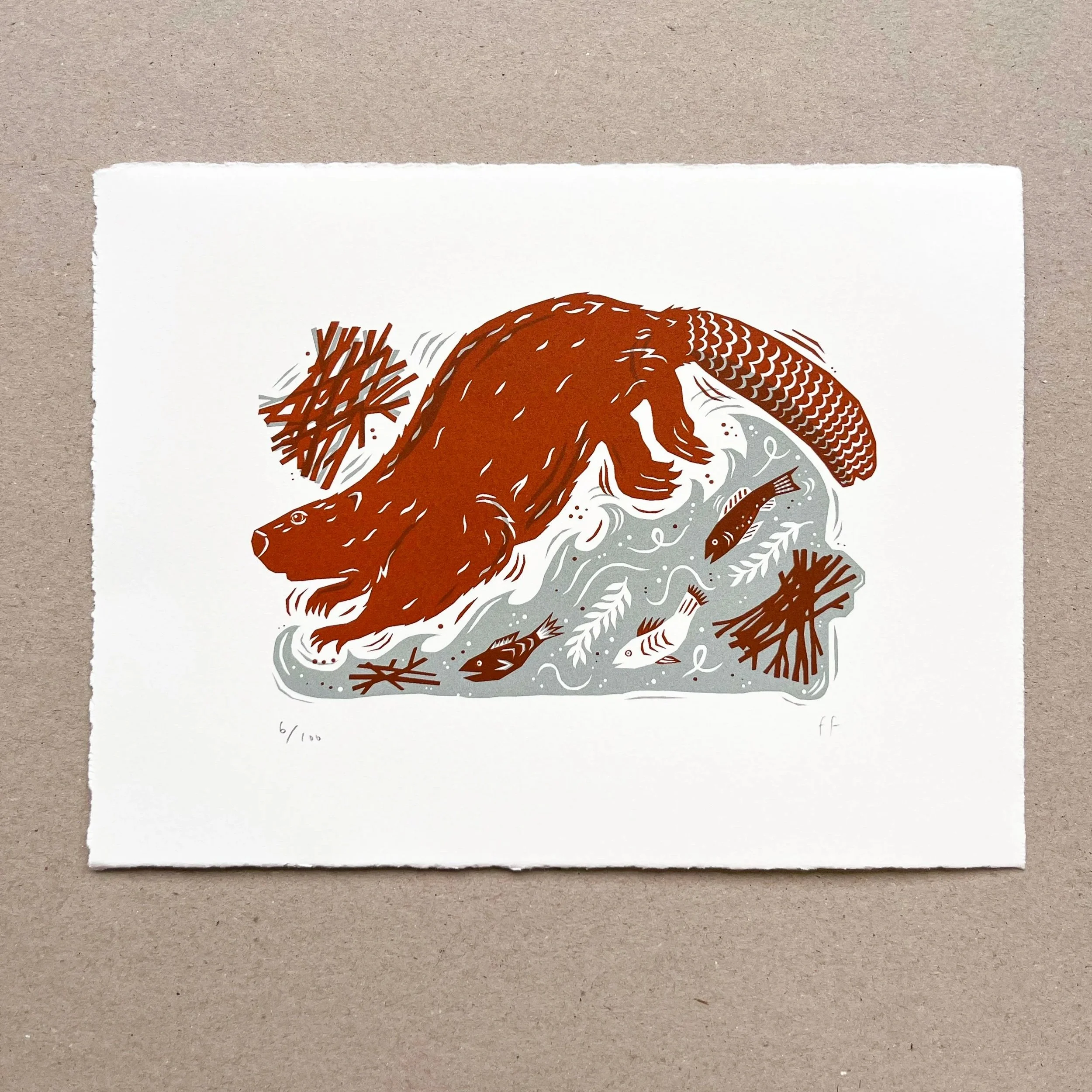 Beaver+2.jpg (Copy)