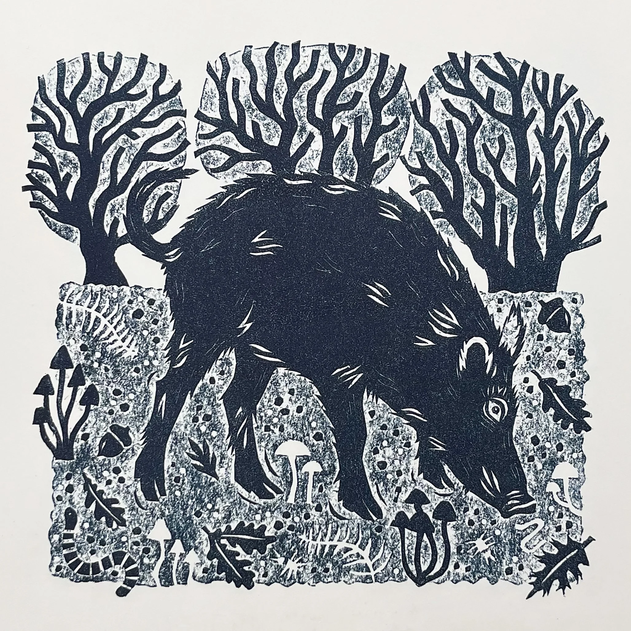 Boar 2.jpg