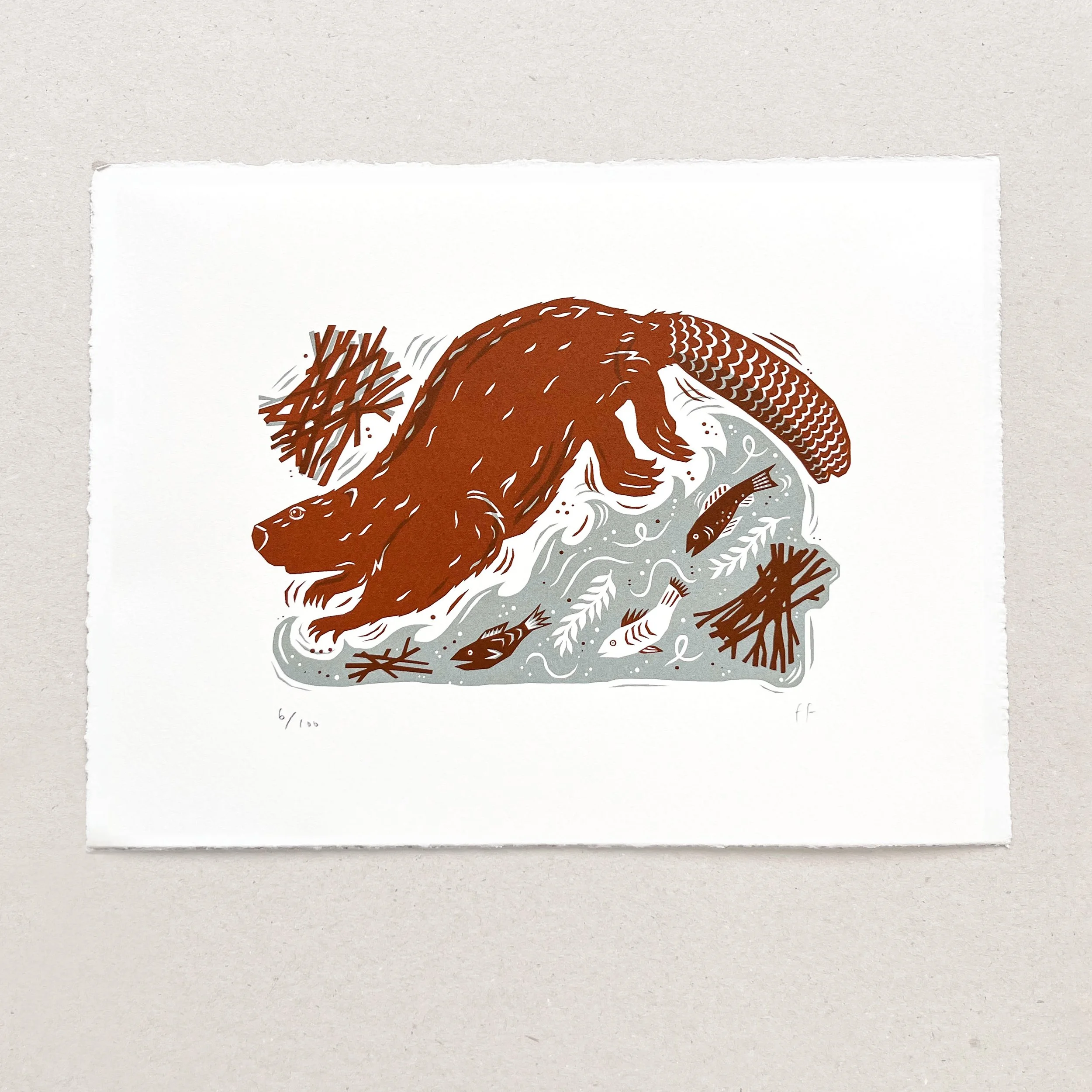 Beaver sq light background.jpg (Copy)