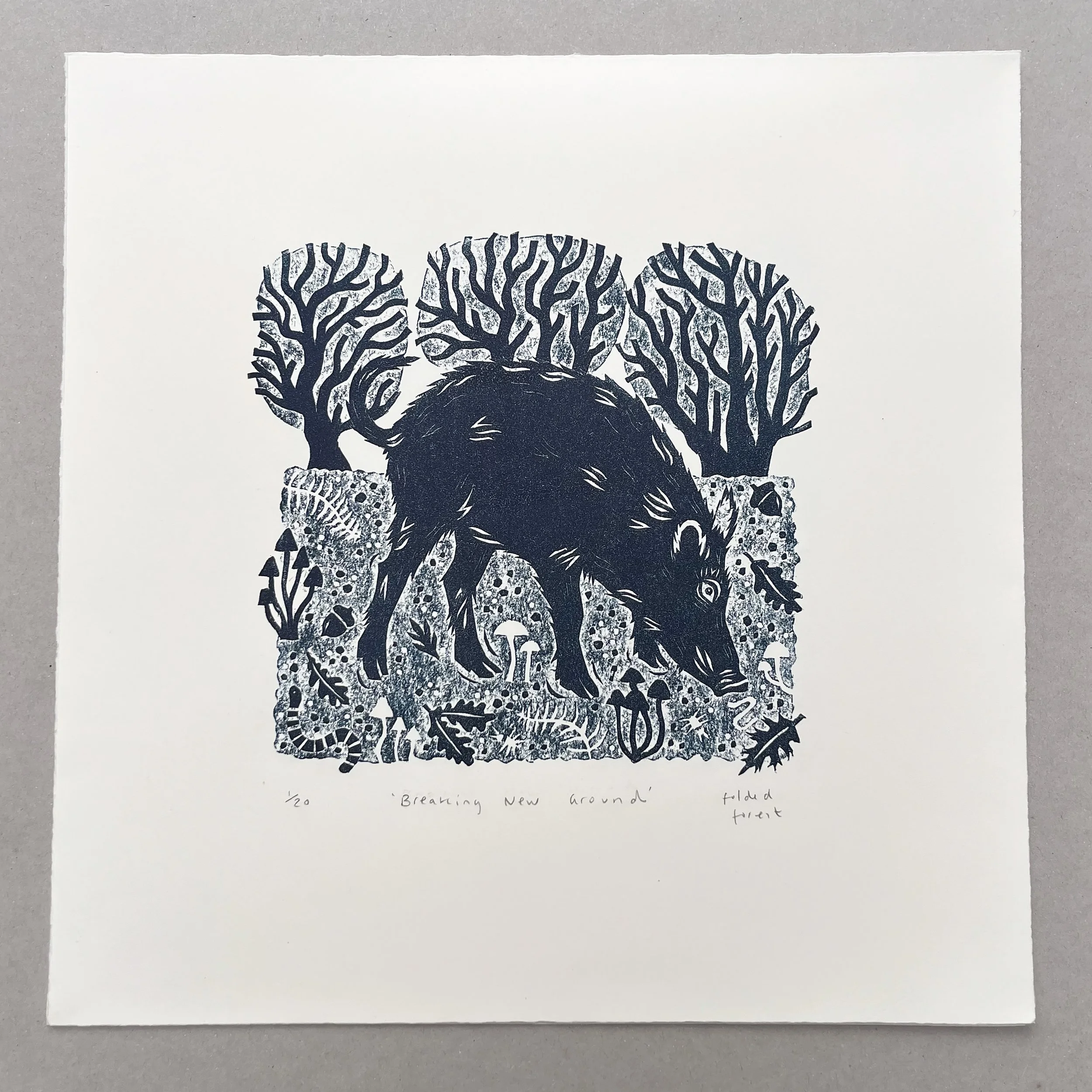 Boar 1.jpg