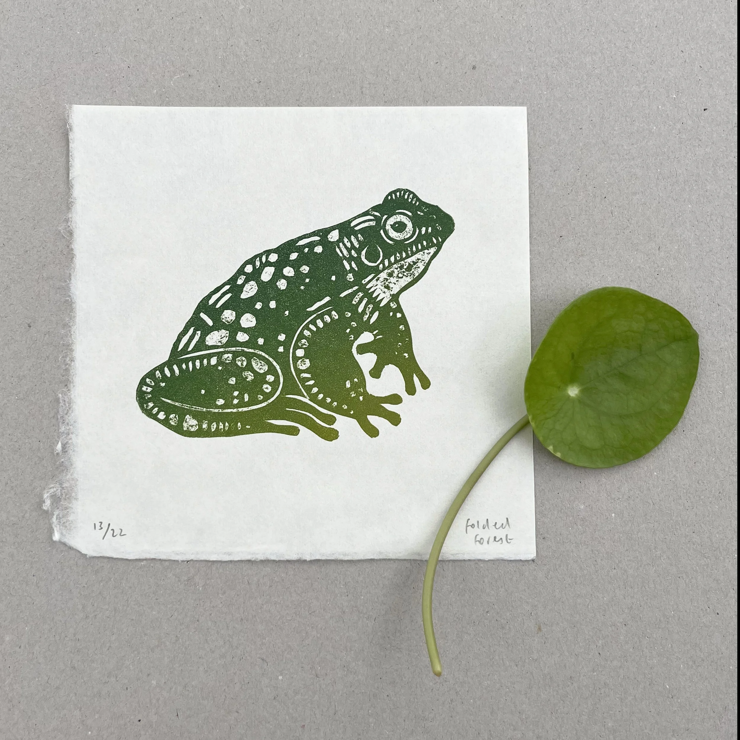 'Frog' in moss green - hand printed collagraph print — Folded Forest