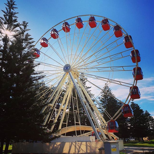 Another beautiful day in Fremantle.
#touristwheelfremantle #touristwheel #welovefreo #thisisfremantle