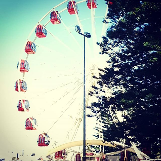 Wow, what happened to winter? 
It's a glorious day here in Freo.
Esplanade Park is buzzing with activity.
#touristwheel #touristwheelfremantle #welovefreo #thisisfremantle