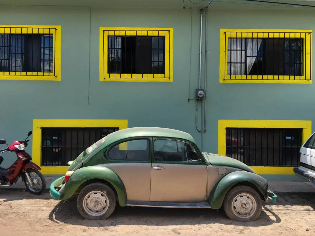 Bugs of San Miguel