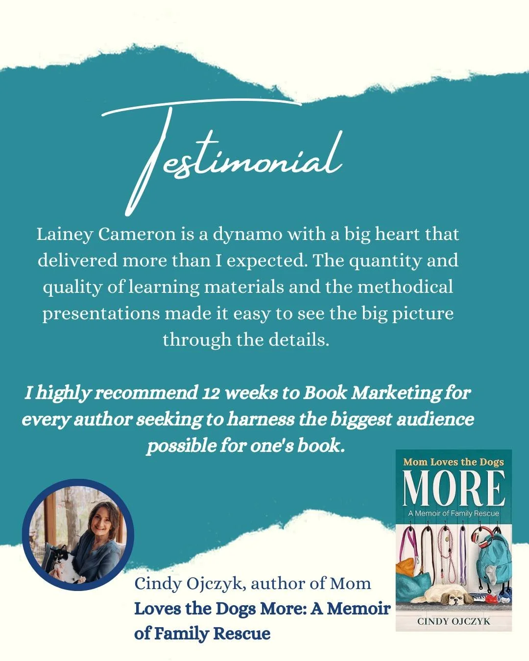 So much fun to share some of the testimonials from past students in my 12 Weeks to Book Launch Success Program - where I help fellow authors create a plan to successfully launch their books. (Especially now when a new group is about to start in early
