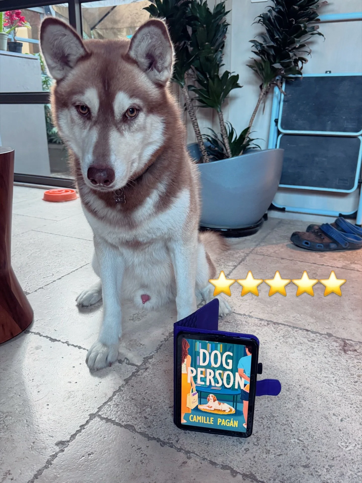 May I recommend this five star read by @camillepagan , just released? 

Harold is my favorite book character in a while. He&rsquo;s aging, he&rsquo;s determined, and he has one final promise to keep. He&rsquo;s also a dog. - my full review below!

Ke