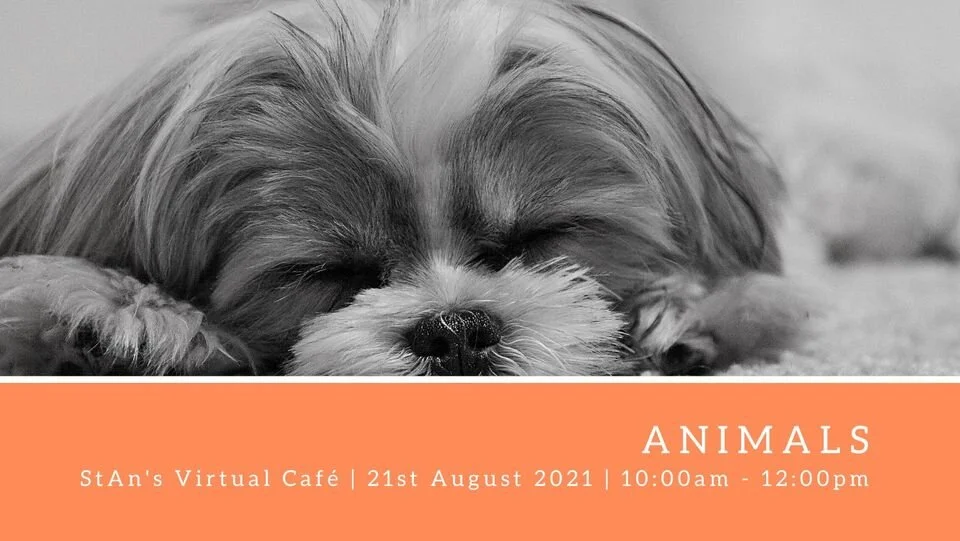 StAn's Virtual Cafe - Animals