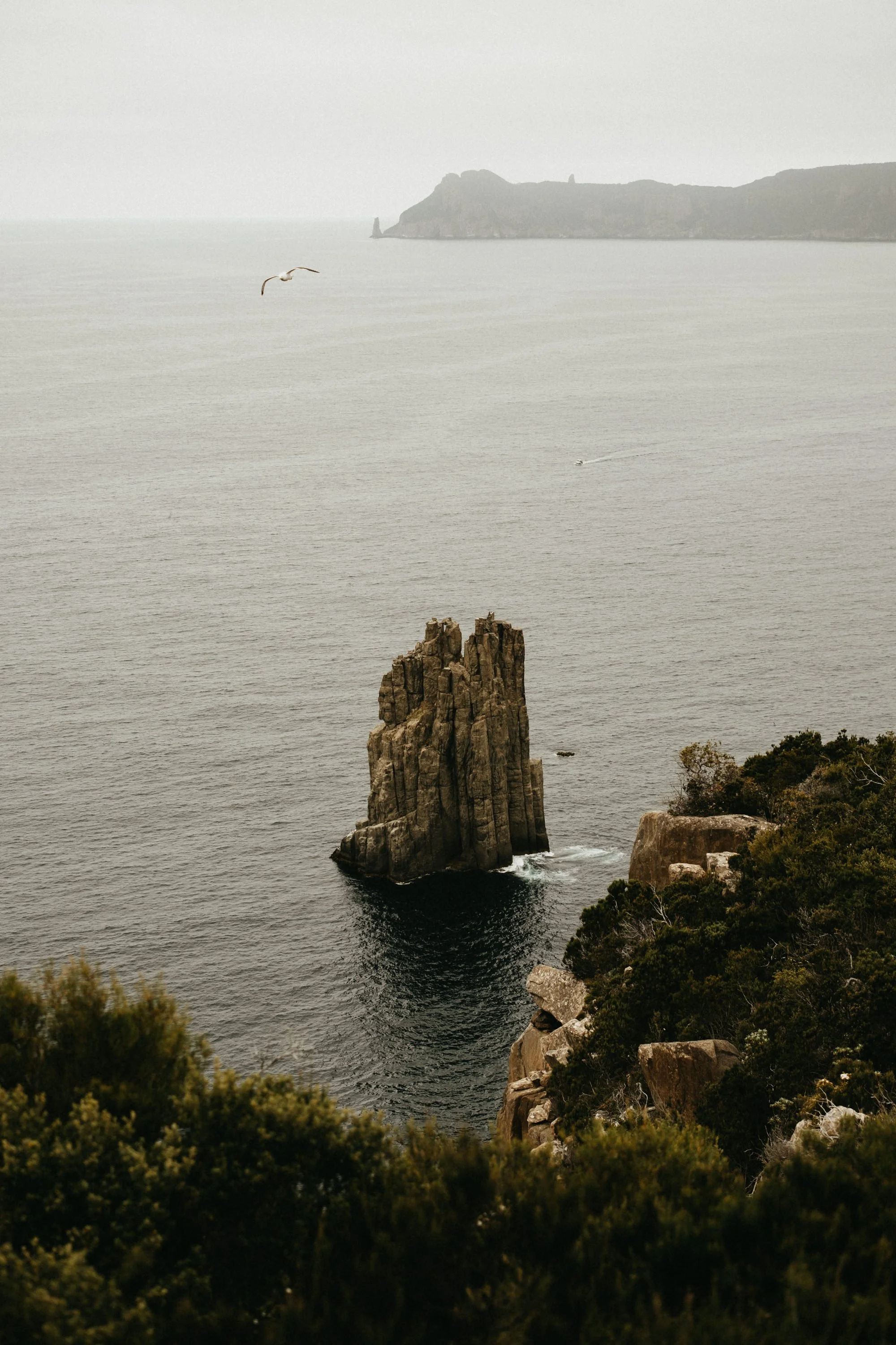 cape-hauy-6.jpg