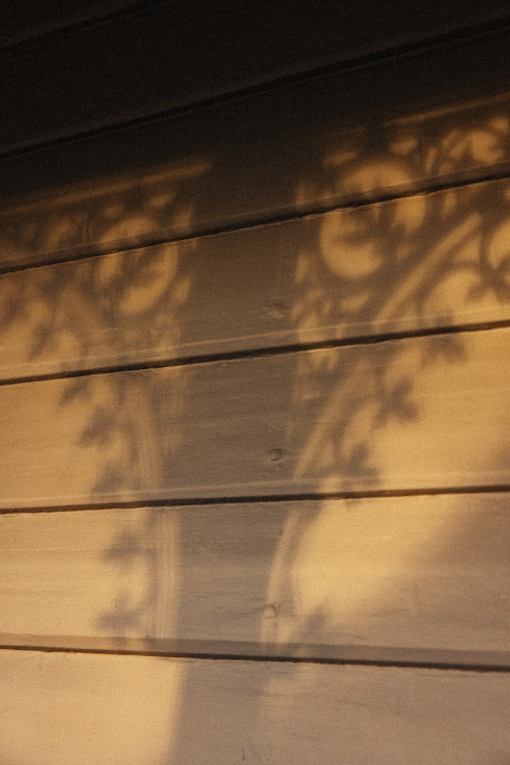 Lumiere Lodge Lean Timms LR-16.jpg