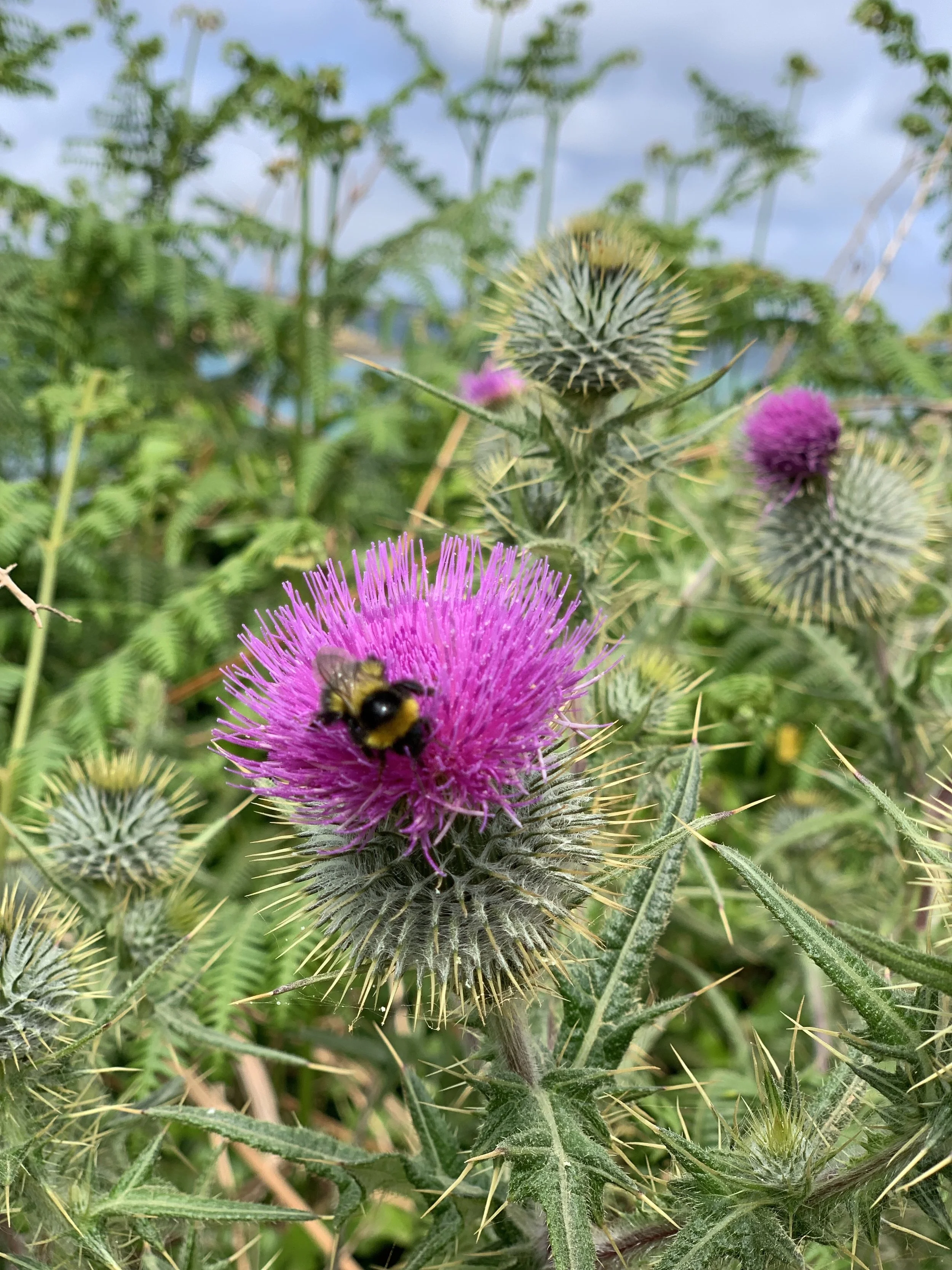 Why "Einstein" got it wrong