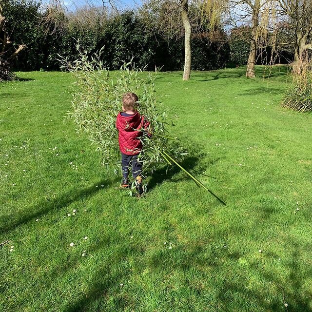 Never turn down the offer of assistance #getthemyoung #homegrown #bamboo