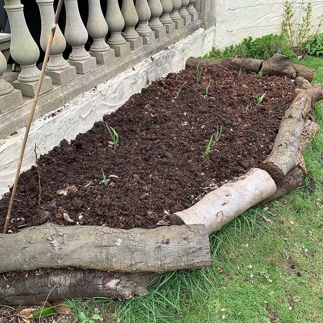 We&rsquo;d rather &ldquo;grow&rdquo; our own topsoil than buy it in. We use a combination of used mushroom compost and wood chip to build incredibly fertile soil from waste materials, supercharged with a little seaweed #permaculture #growyourown