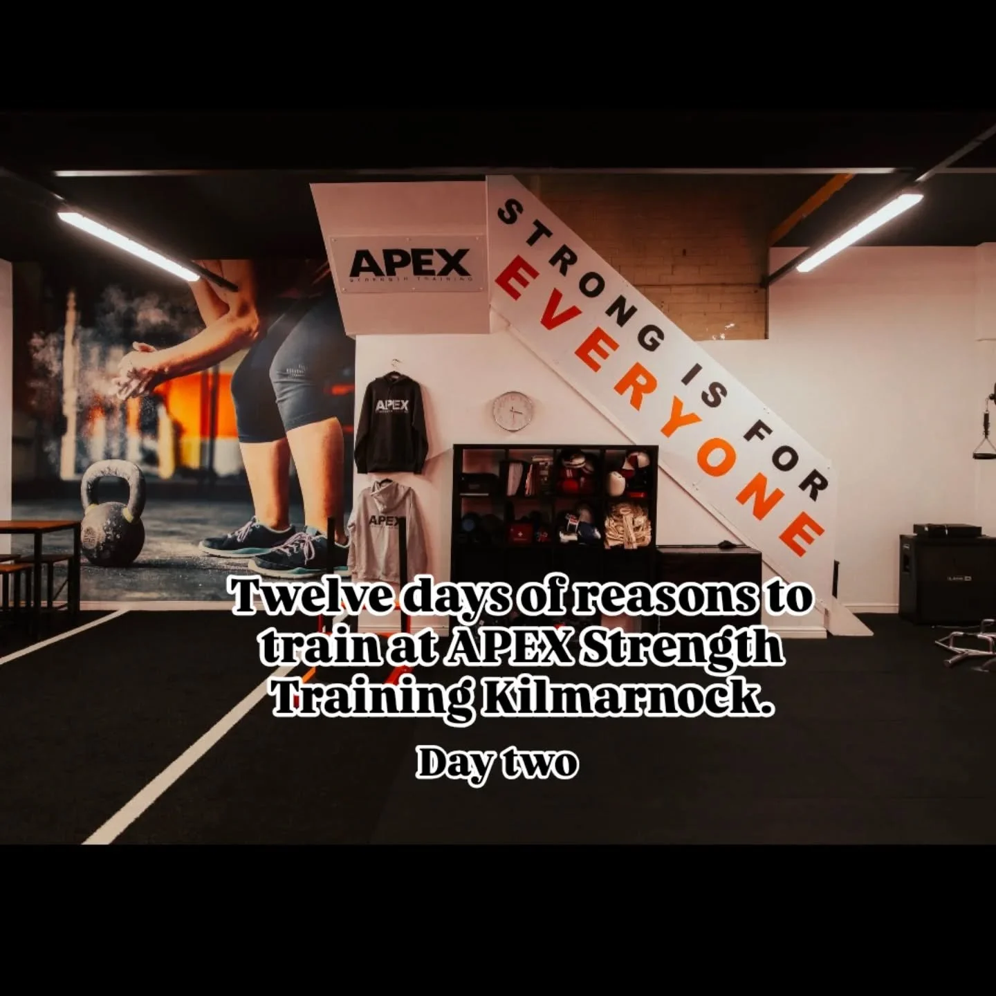 Twelve days of the perks of being an APEX Personal Training Client.

Day two.

A carefully curated &quot;gym&quot; environment.

The space we have in APEX has evolved over the years that we've been open. We've added more equipment, we've created a sy