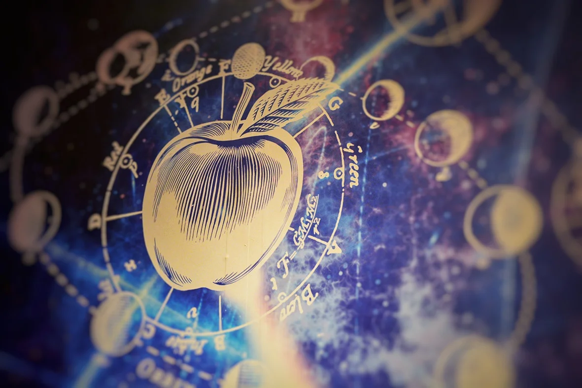 Cosa scegliere: intuito o razionalità?