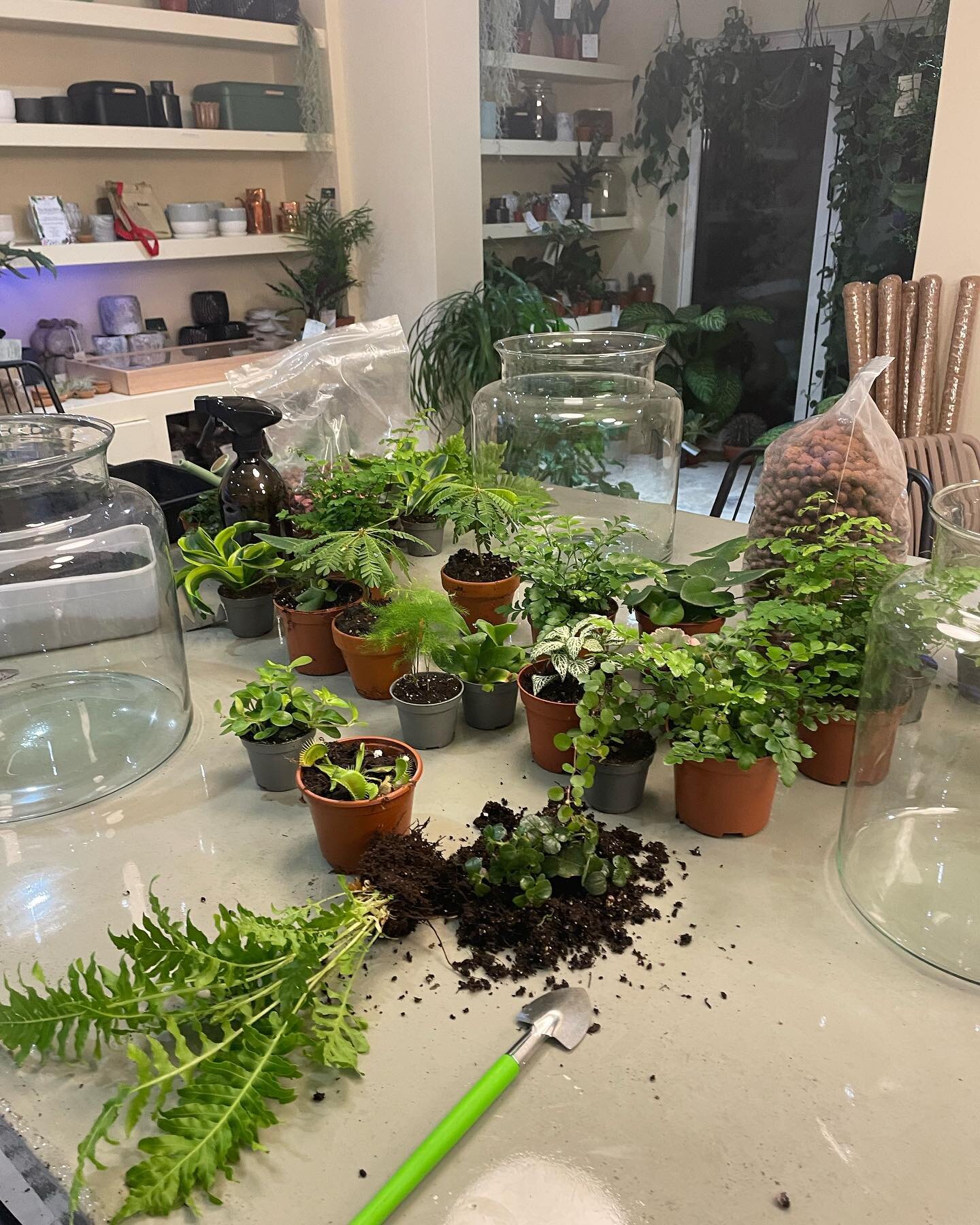 Terrarium Workshop - New Date 🪴☀️

25th April 18:00-19:30
📍 @sorrel.stores 

See link in bio for all details and to book your place! Limited spaces available 🌿