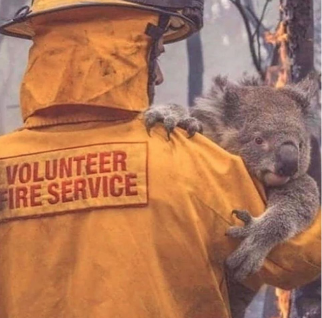 Vegan 101 - Nutrition talk and cooking class fundraiser