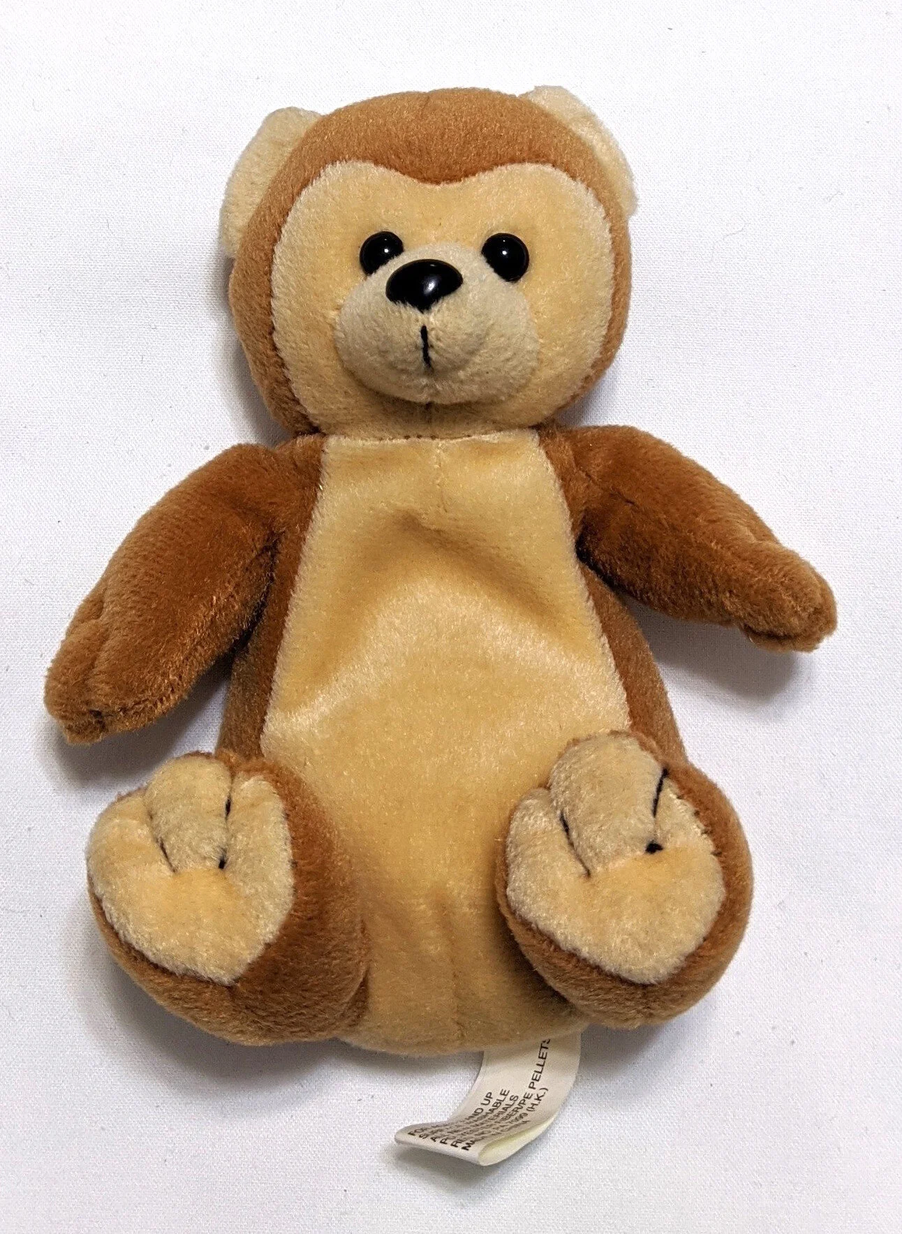 teddy bean bag frt.jpg