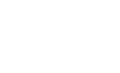 Speedo