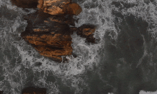 ezgif-4-854140290b.gif