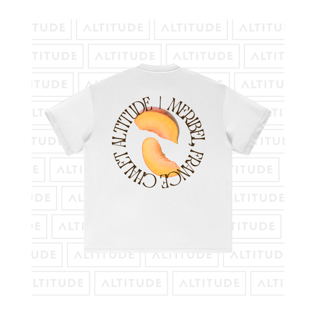 Péche Tee - Heavyweight Earth Tone T-Shirt (BACK) - White.png