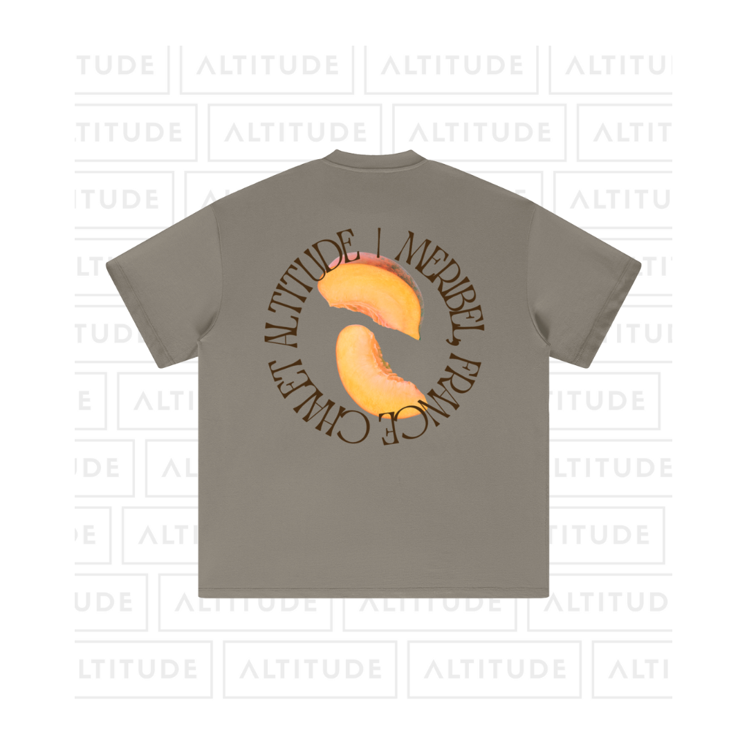 Péche Tee - Heavyweight Earth Tone T-Shirt (BACK) - GRAY CAMEL.png