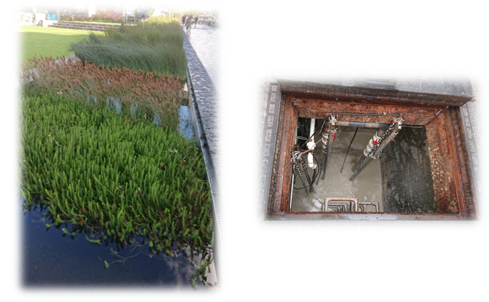 Water Monitoring