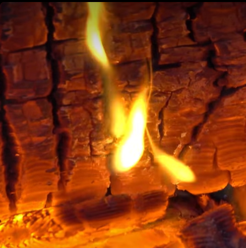 What Kind of Wood Should You Burn in Your Fireplace?