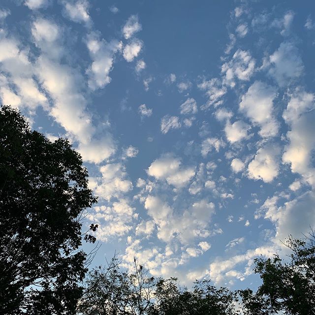 Our view.
.
.
#dryrunfarm #dryrunapiary #dryrunhoneycompany #marylandfarms #maryland #farmsofwolfsville #smallfarms #farmstead #homestead #farmfresh #farmlife #countrylife #farmhousemovement #farmdays #feedthebeesleavetheweeds #marylandbeekeeping #ma