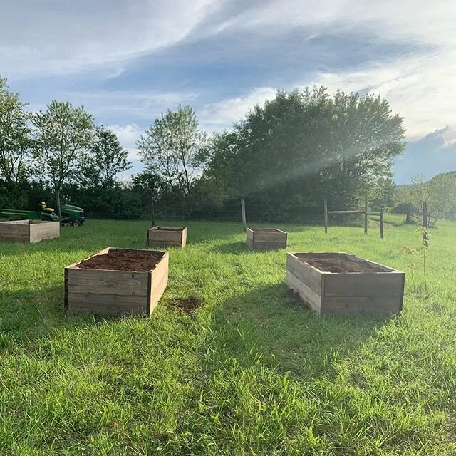Adding a few raised beds. Seeds and starts going in this weekend. 🍓🍉🍅🥒🥦🥬
.
.
.

#dryrunfarm #dryrunapiary #dryrunhoneycompany #marylandfarms #mdfarms #maryland #farmsofwolfsville #smallfarms #farmstead #homestead #farmfresh #farmlife #countryli