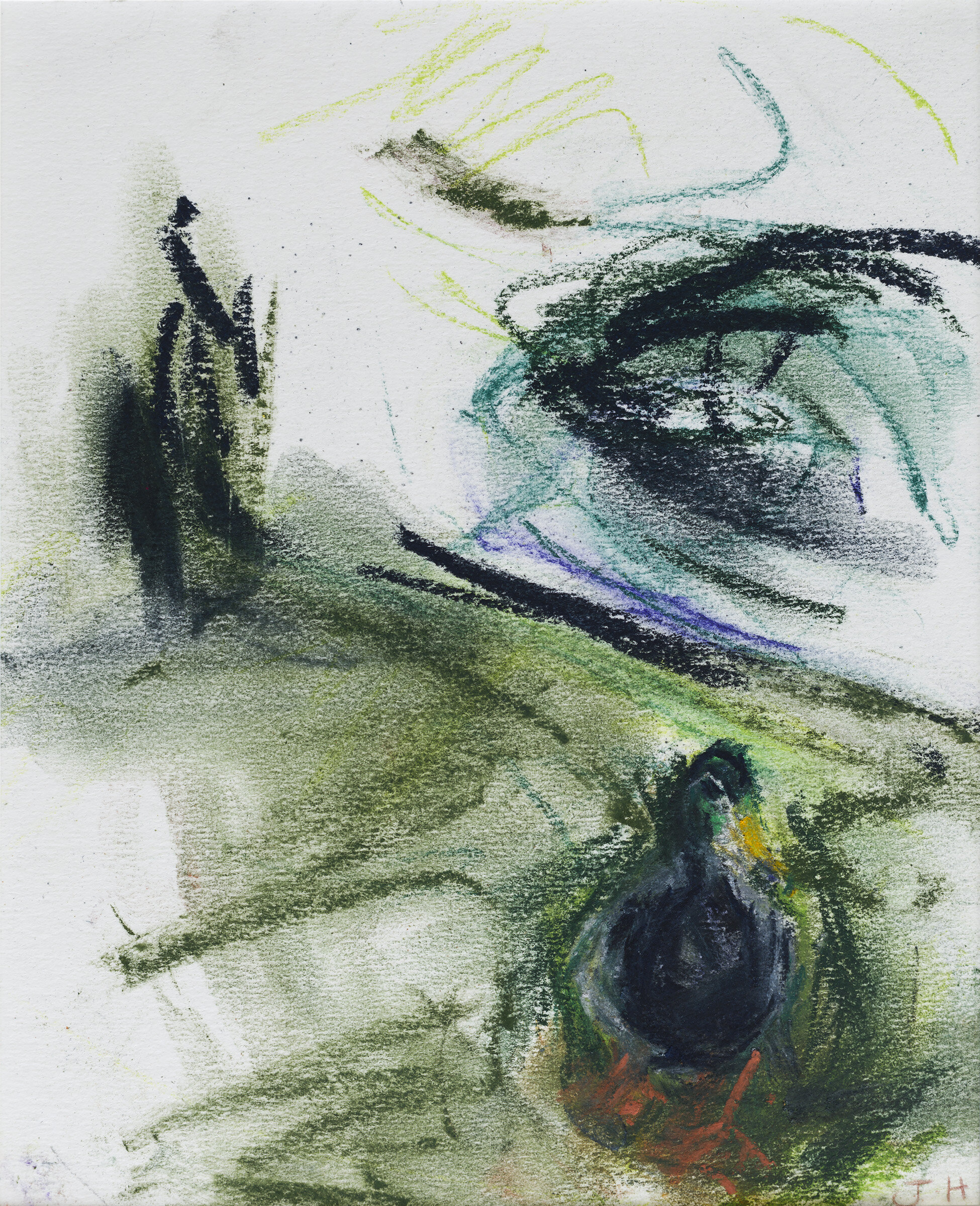 Ducks