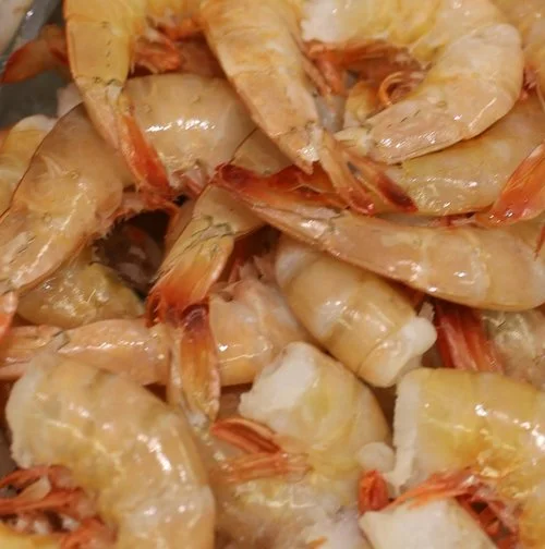 Fresh Wild Caught Florida Shrimp