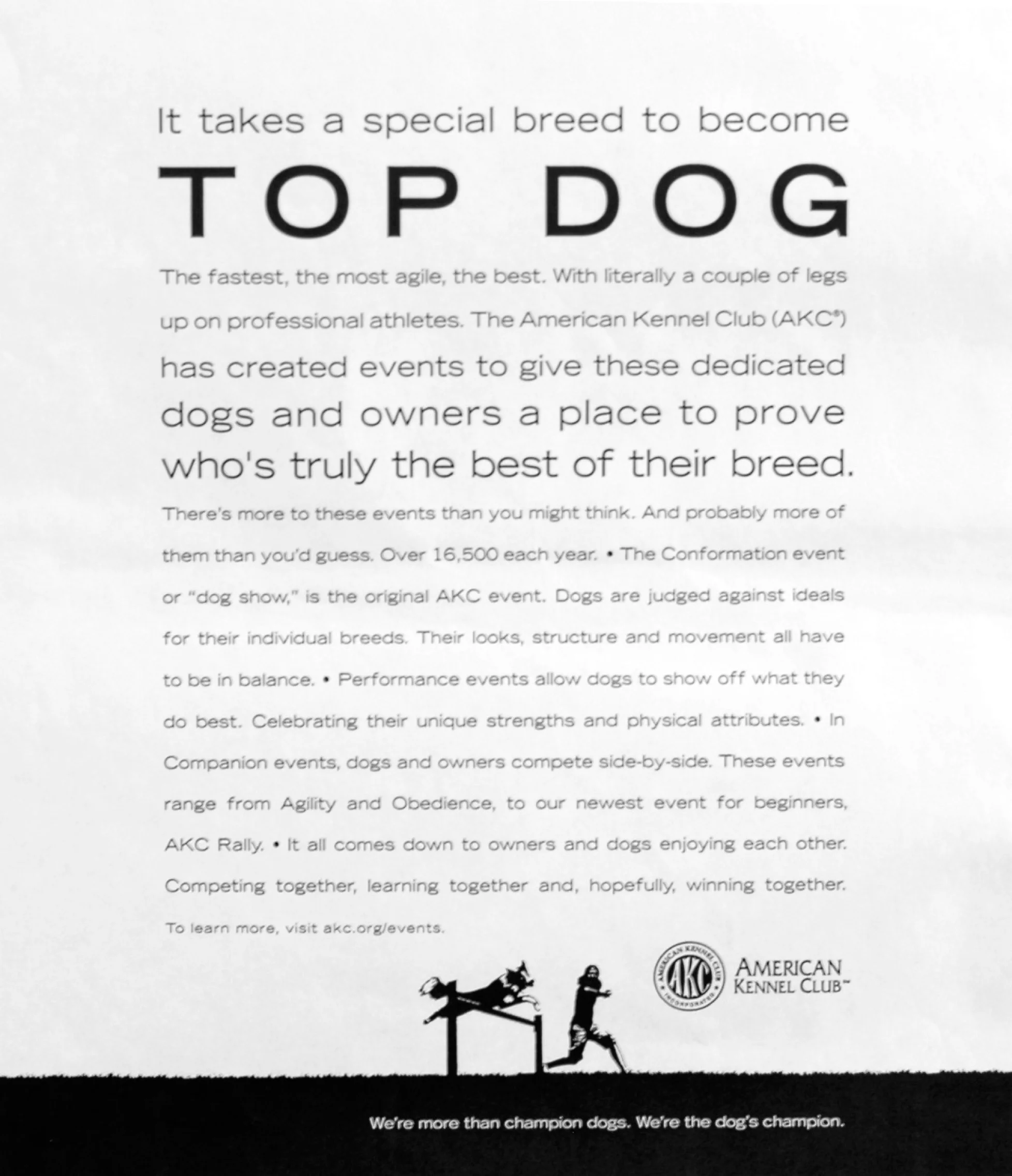 AKCTopDog copy.jpg