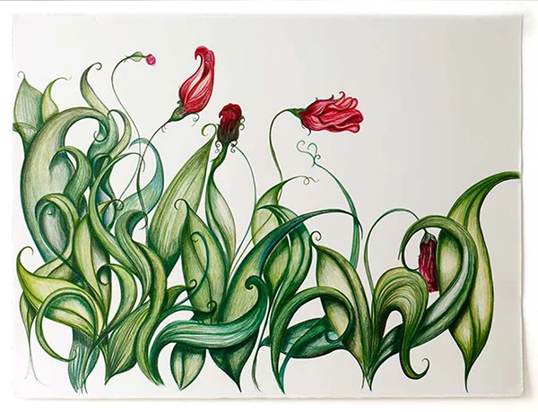 Wildario Rosaria , colored pencil on BFK Reeves, 26” x 30”