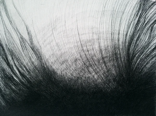 Untitled 6 , ballpoint pen on Fabriano hot press paper, 22” x 28”