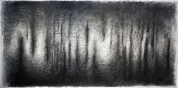 Untitled 10 , ballpoint pen on Fabriano hot press paper, 4’ x 9’