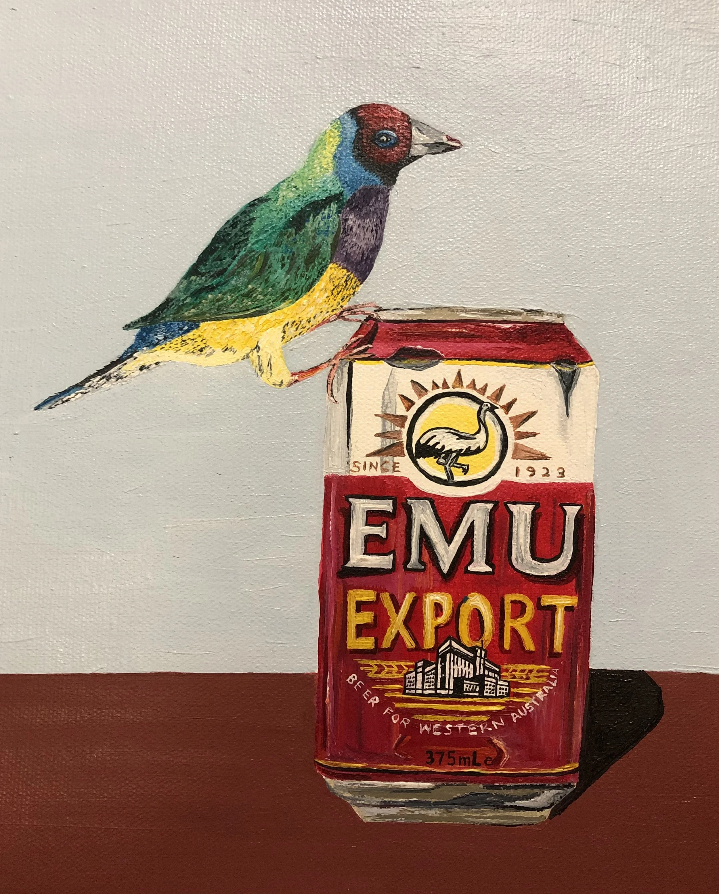Finch 2.jpg