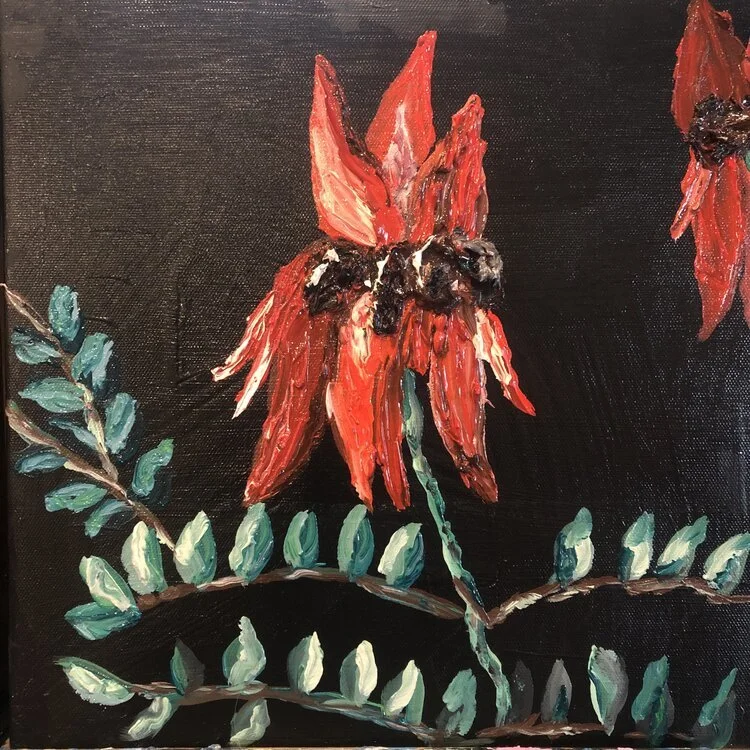 Desert+pea+1.jpg