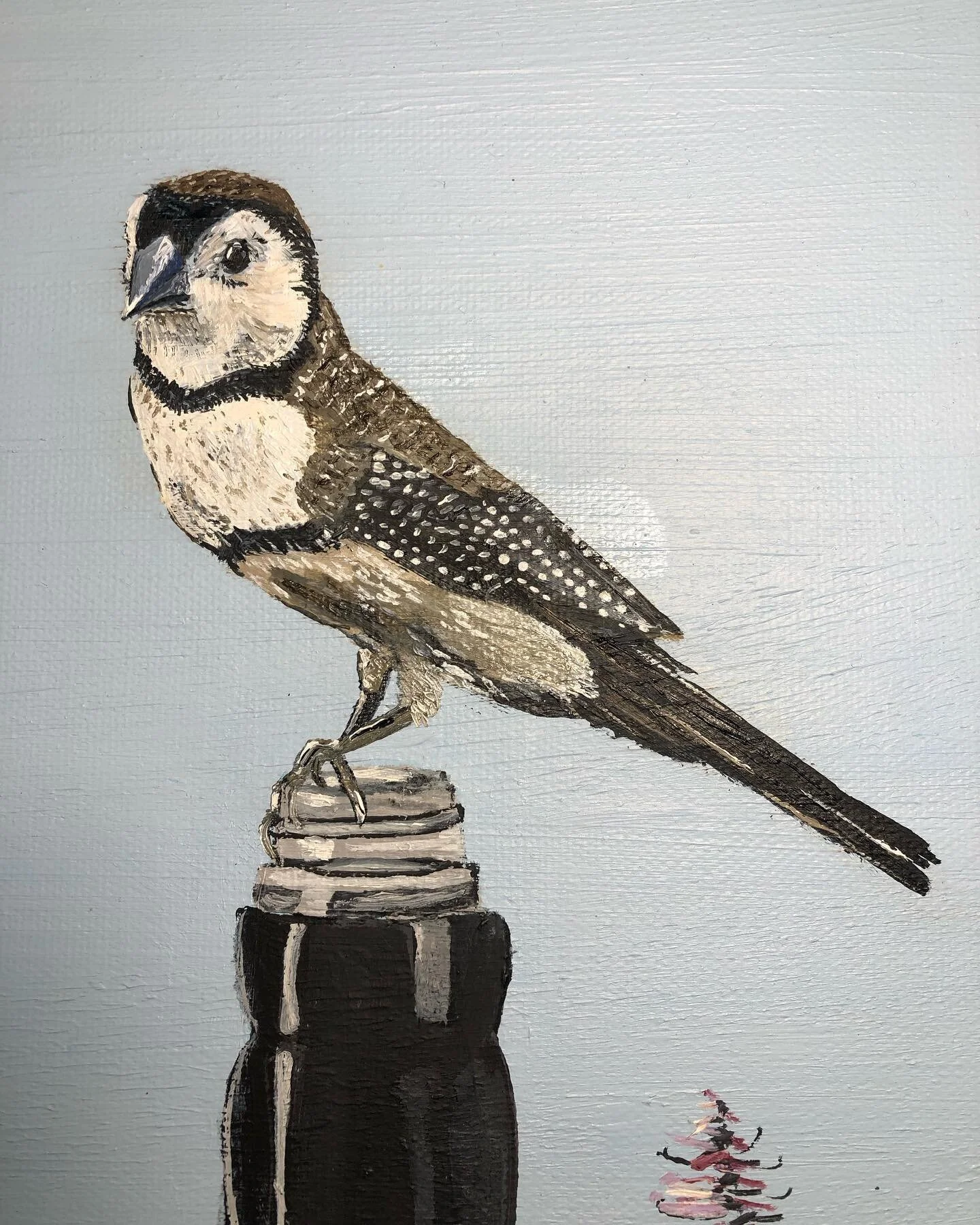 Who loves a double-barred finch? I&rsquo;ve added three to my painting, &ldquo;Ord River Flora&rdquo;. It&rsquo;s made of oil paint and Kimberley soil on canvas, size is 63x52cm (including frame). It will be for sale at @blackstumpgallery in a week o