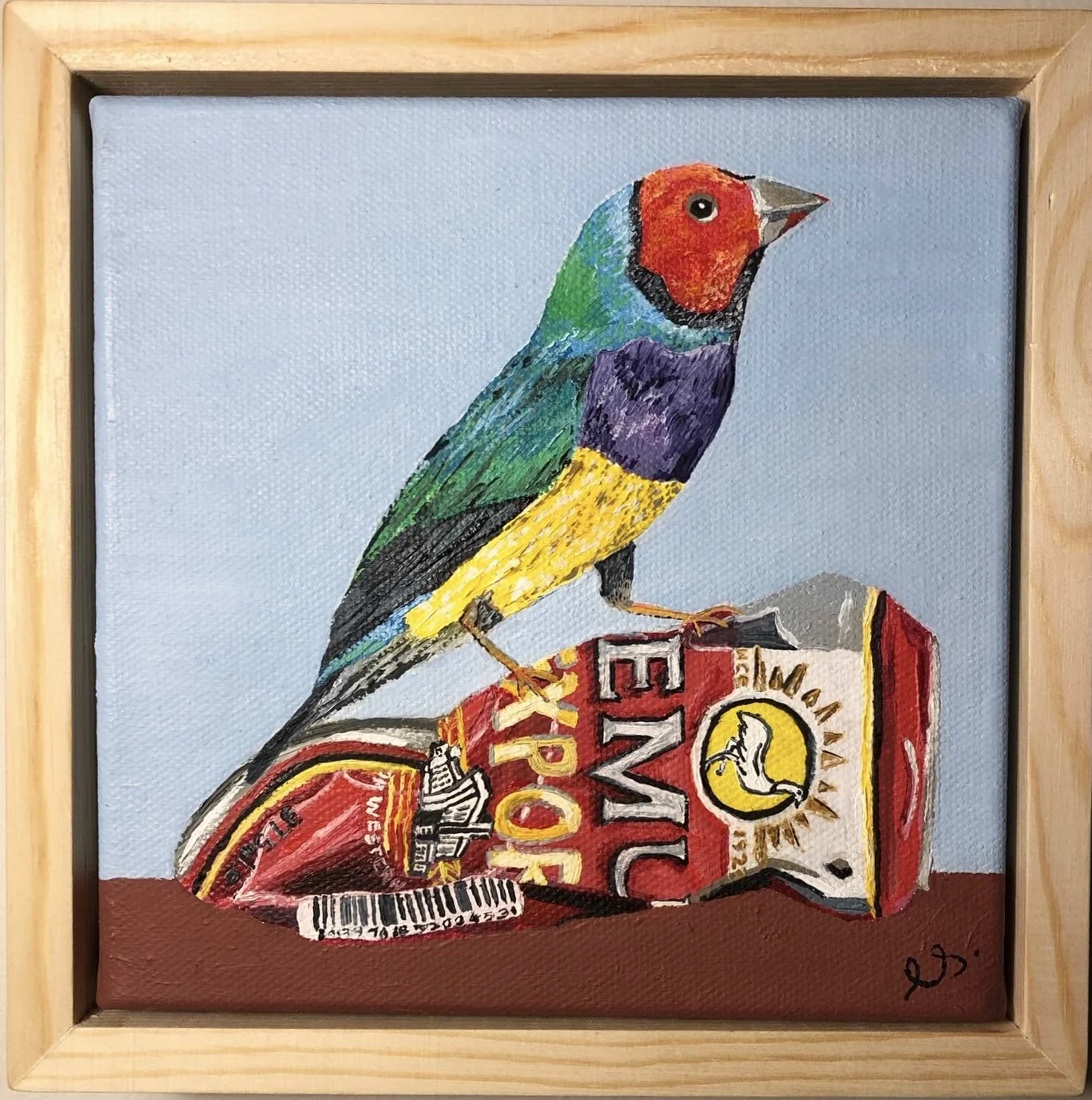 One gouldian.jpg