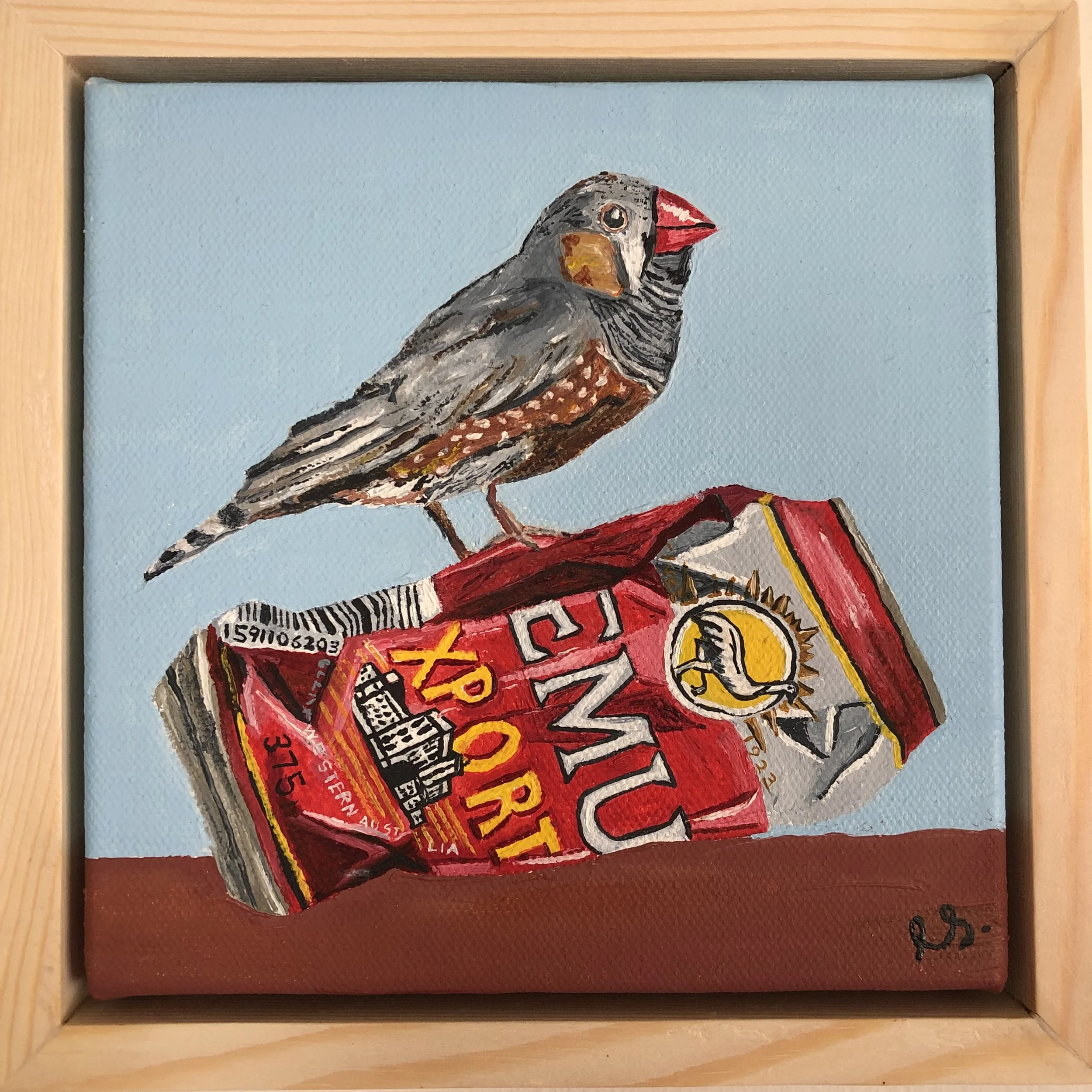 Zebra finch.jpg