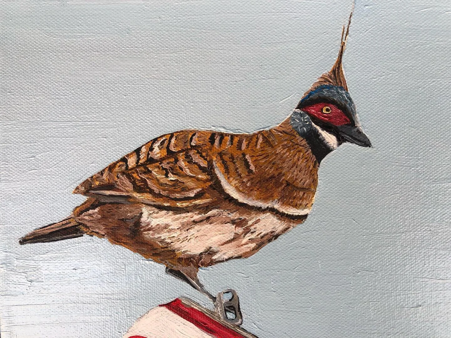 Three Emus and two spinifex pigeons. Oil on canvas. Will be framed in about 2-3 weeks once it&rsquo;s completely dry.